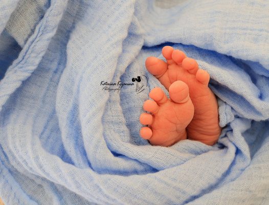Newborn Photographer Jacksonville Florida